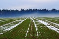 Large arable field with fog at forest winter season landscape Royalty Free Stock Photo