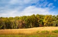 Field with footpath hiking trail into forest, with Autumn colors Royalty Free Stock Photo