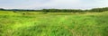 Field and forest on the horizon extra large panoramic landscape