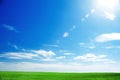 Field of fresh green grass and bright blue sky Royalty Free Stock Photo