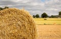 Field with freshly bales of hay Royalty Free Stock Photo