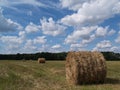 Field Of Freshly Bales Of Hay, Poland
