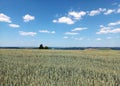 Field in front of blue sky in beautiful nature with trees and hills in background Royalty Free Stock Photo