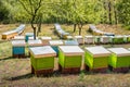 Field full of colorful wooden beehives. Royalty Free Stock Photo