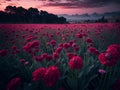 A field full of flowers at the sunset with a pink sky