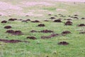 Field full of mole hills Royalty Free Stock Photo