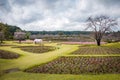 A field in garden of Ushiku Daibutsu, Japan.