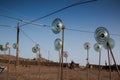 Field of glass telephonic insulators