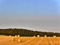 Field of golden hay and hay bales,forest and skyscape beyond, Scotland Royalty Free Stock Photo