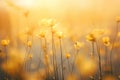Field of Golden Serenity: Abstract Sunset Landscape. Generative By Ai Royalty Free Stock Photo