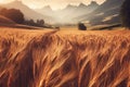 A field golden wheat with mountains in background Royalty Free Stock Photo
