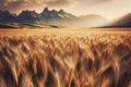 field golden wheat with mountains in background Royalty Free Stock Photo