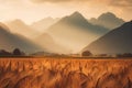 A field of golden wheat with mountains in background Royalty Free Stock Photo