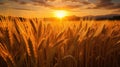 A field of golden wheat at sunset with mountains in the background, AI Royalty Free Stock Photo