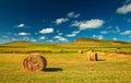 Field of grain