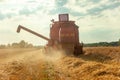 A field with grain and a combine mower in the rising dust Royalty Free Stock Photo