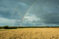 Field of grain, rainbow and dark clouds in the sky Royalty Free Stock Photo