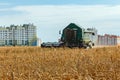 The field of grain wheat and combine harvester on background Royalty Free Stock Photo