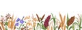 Field grains, cereals border. Realistic drawing of farm plants, different spikes with seeds. Agriculture banner with Royalty Free Stock Photo