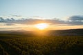 Field of grapevine vines view of grape lines from the side of an area of South Moravia before harvest at autumn sunset captured