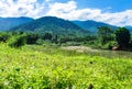 Field of grass and flowers. hills and blue sky with clouds.river and bridge Royalty Free Stock Photo