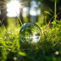 Field of Grass at Forest Edge in Glass Ball Resting on Close up of Grassy Ground
