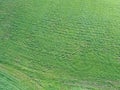 A field of grass grown for hay Royalty Free Stock Photo