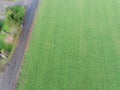 A field of grass grown for hay Royalty Free Stock Photo