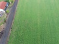 A field of grass grown for hay Royalty Free Stock Photo