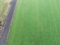 A field of grass grown for hay Royalty Free Stock Photo