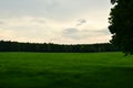 Field of grass landscape meadow in Spring saxon swizerland