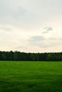 Field of grass landscape meadow in Spring saxon swizerland