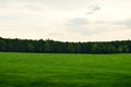 Field of grass landscape meadow in Spring saxon swizerland