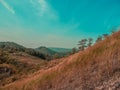 Field grass Mountain landscape Royalty Free Stock Photo
