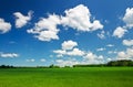 Field of grass and perfect sky Royalty Free Stock Photo