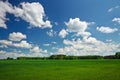 Field of grass and perfect sky Royalty Free Stock Photo