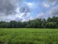 Field of grass and perfect sky