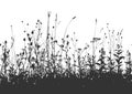 Field grass silhouette