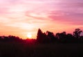 Field of grass and sunset .selective focus Royalty Free Stock Photo