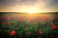 Field with grass, violet flowers and red poppies Royalty Free Stock Photo
