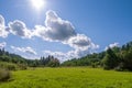Field of grass with woods and perfect blue sky Royalty Free Stock Photo