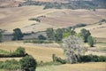 Landscape of turkey