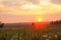 Field with green grass against the sunset sky