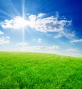 Field of green grass and blue cloudy sky