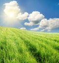 Field of green grass and blue cloudy sky Royalty Free Stock Photo