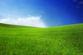 Field with green grass and blue sky with clouds on the farm in beautiful summer sunny day. Clean, idyllic, landscape with sun. Royalty Free Stock Photo