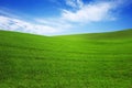 Field with green grass and blue sky with clouds on the farm in beautiful summer sunny day. Clean, idyllic, landscape with sun. Royalty Free Stock Photo