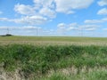 Field with green grass and blue sky with clouds. Landscape. Photowall-paper