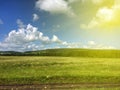 Field of green grass, blue sky and warm yellow rays of the sun