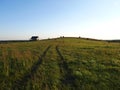 A field of green grass and car tracks on it. Blue sky. A clear summer day Royalty Free Stock Photo